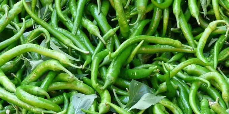 Can You Freeze Green Chilies